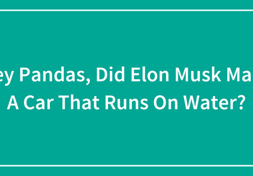 Hey Pandas, Did Elon Musk Make A Car That Runs On Water?