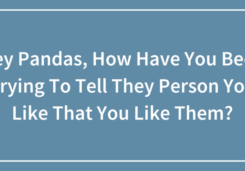 Hey Pandas, How Have You Been Trying To Tell They Person You Like That You Like Them?