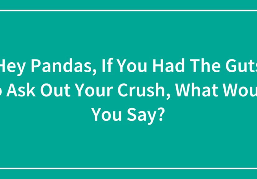 Hey Pandas, If You Had The Guts To Ask Out Your Crush, What Would You Say? (Closed)