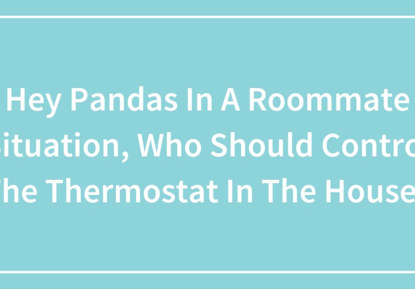 Hey Pandas In A Roommate Situation, Who Should Control The Thermostat In The House?