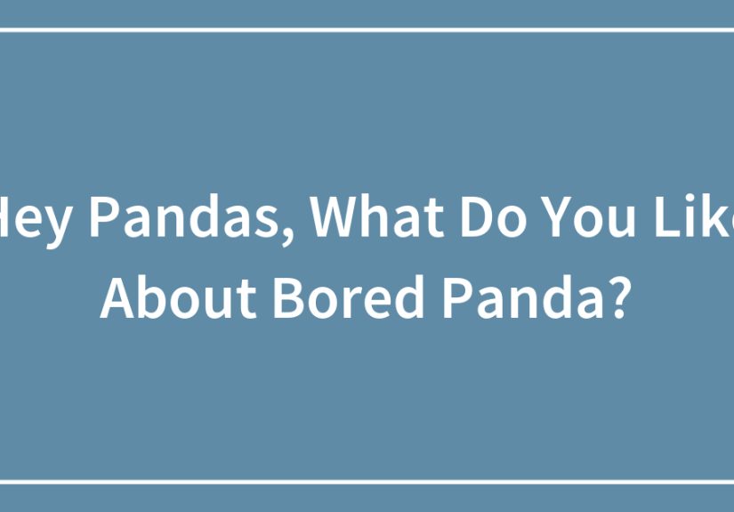 Hey Pandas, What Do You Like About ?
