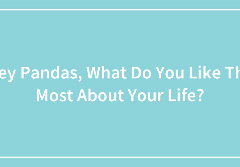 Hey Pandas, What Do You Like The Most About Your Life? (Closed)