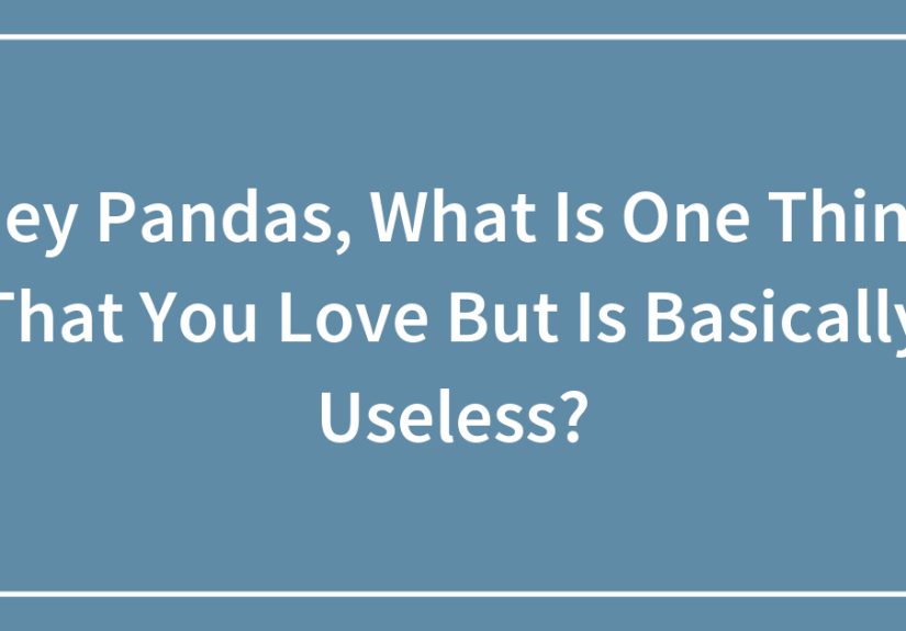 Hey Pandas, What Is One Thing That You Love But Is Basically Useless?