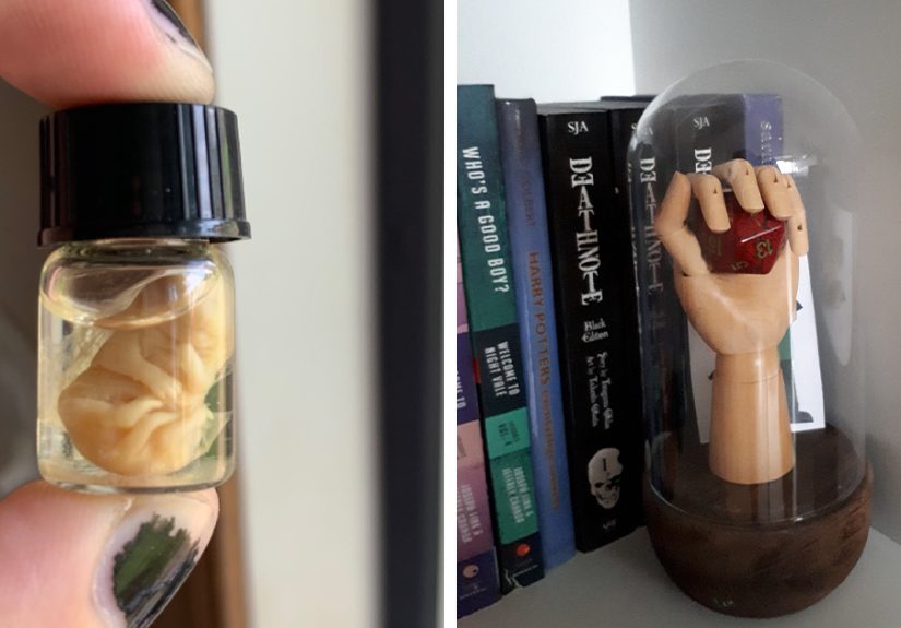 Hey Pandas, What Is The Weirdest Thing You Own?