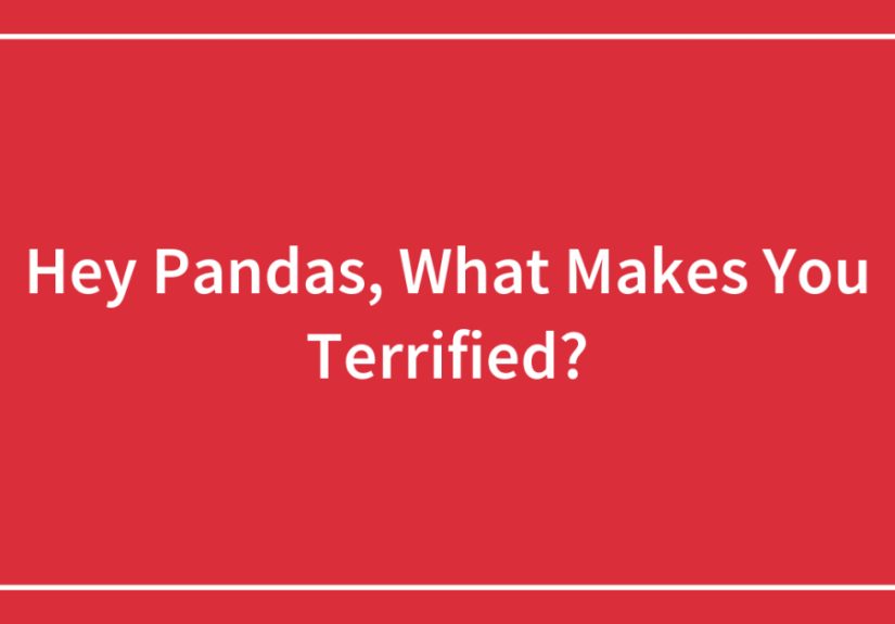 Hey Pandas, What Makes You Terrified?