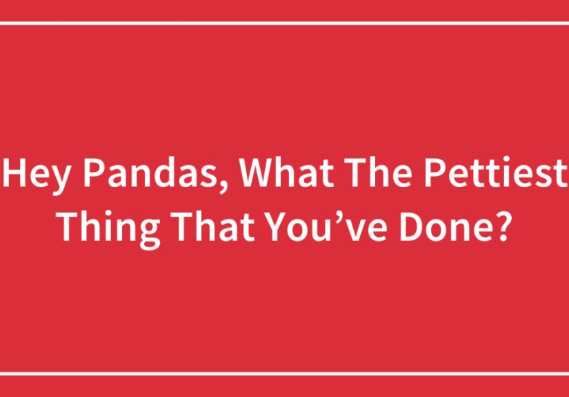 Hey Pandas, What The Pettiest Thing That You’ve Done?