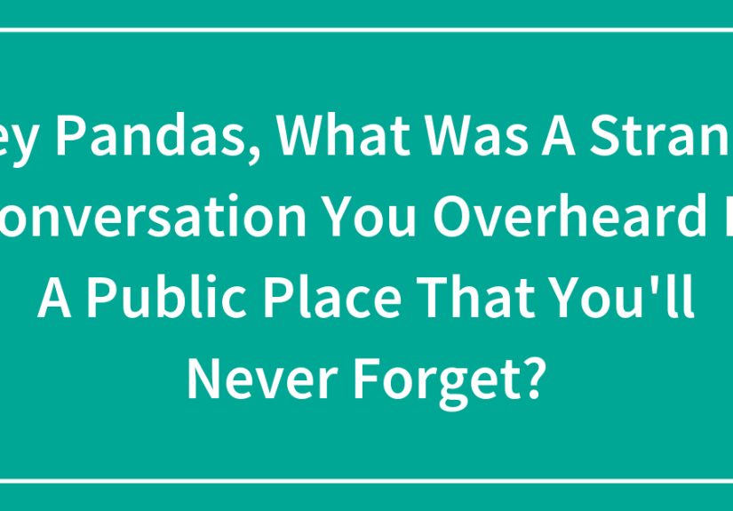 Hey Pandas, What Was A Strange Conversation You Overheard In A Public Place That You’ll Never Forget?