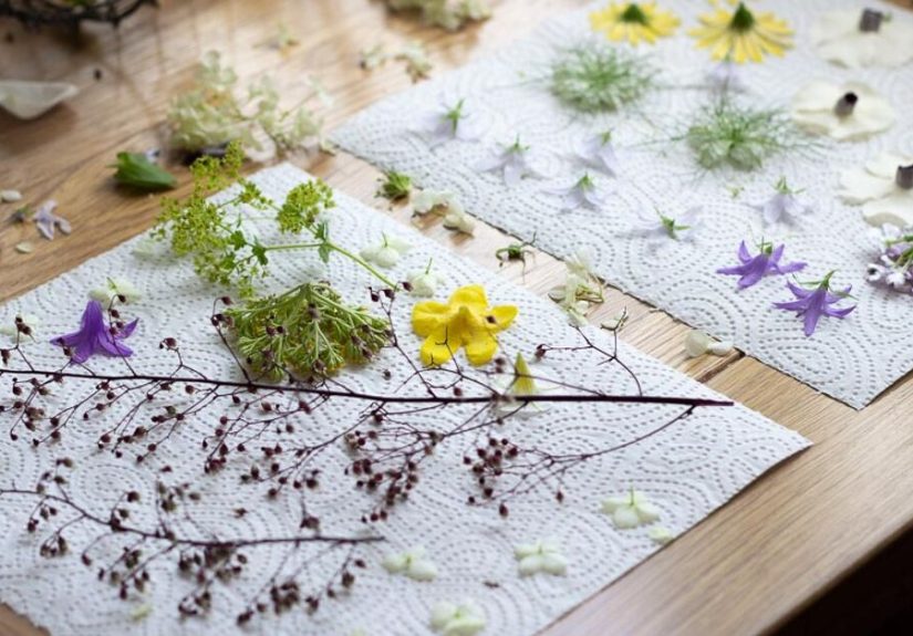 How to Make Pressed Flower Prints