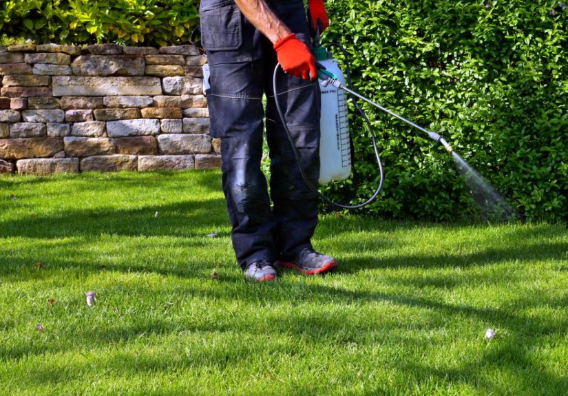 How to Safely Use Commercial Weed Killers - Bob Vila