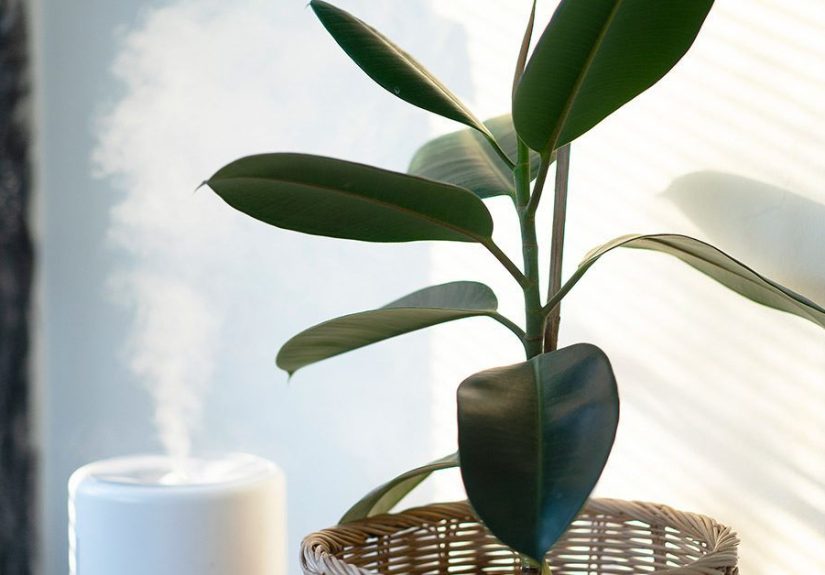 Humidifier Vs. Dehumidifier: What They Do