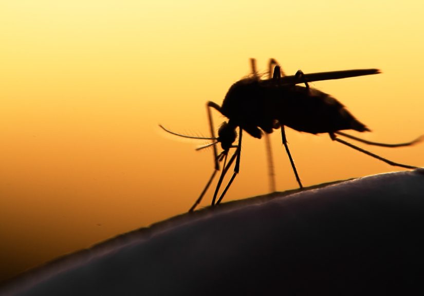 In this Era of Increased Globalization, Infectious Diseases Show No Boundaries