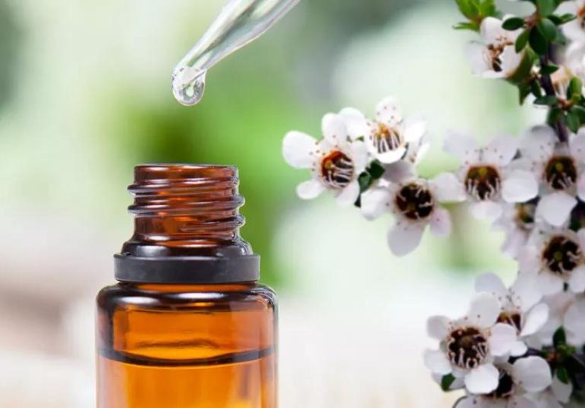 Is Tea Tree Oil Good for Piercings?