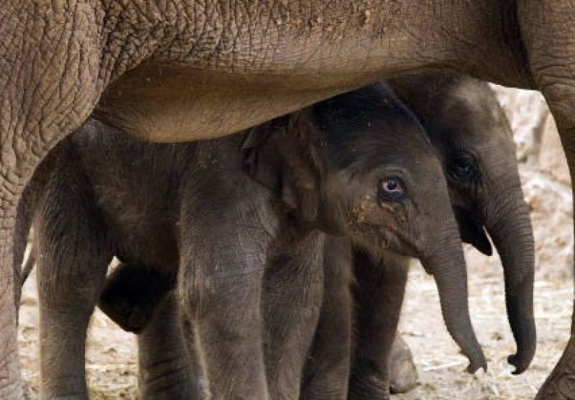 It Will Take Millions of Years for Evolution to Replace What We Might Lose in the Next 50