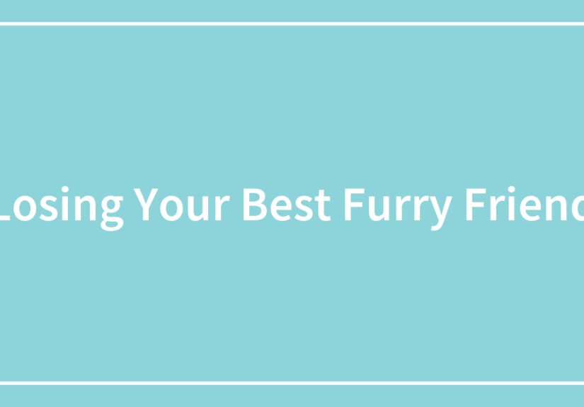 Losing Your Best Furry Friend