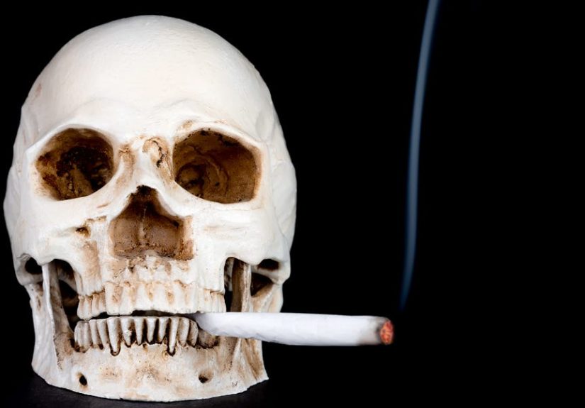 Old Milan Bones Show 1600s Cannabis Use