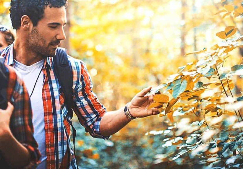 Phytophotodermatitis: Symptoms, Causes, and More