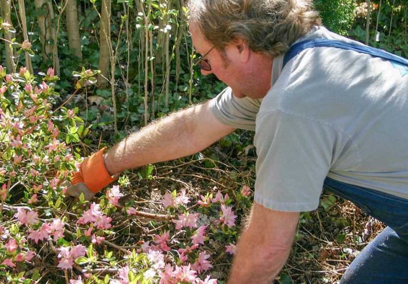 Poison Oak vs. Posion Ivy: Rashes, Symptoms, and More
