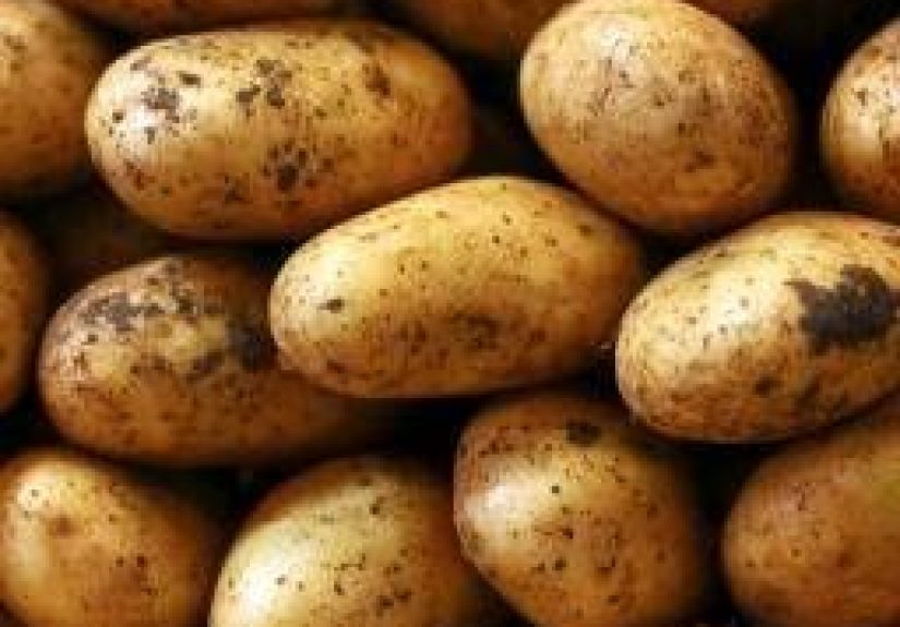 Potatoes: Health benefits, nutrients, recipe tips, and risks