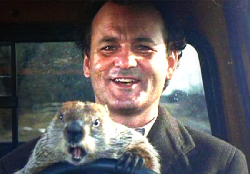 Top 10 Heart-Warming Films To Make You Forget All Your Troubles