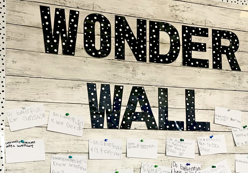 Using a Wonder Wall in a Kindergarten Classroom