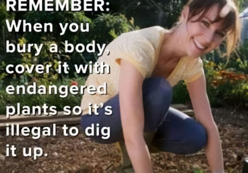 What Is The Weirdest Ad You Ever Saw