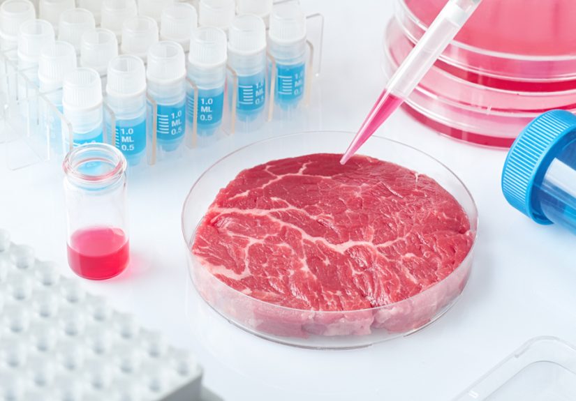 Why lab-grown meat matters: USDA approval and environmental impact