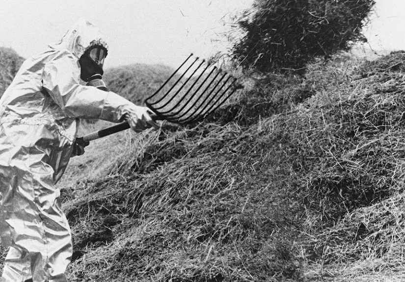 Why the Side Effects of Radiation Poisoning Widely Vary