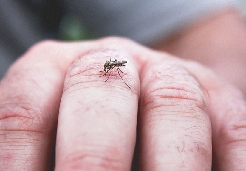 Zika Rash: Symptoms, Treatment, and More