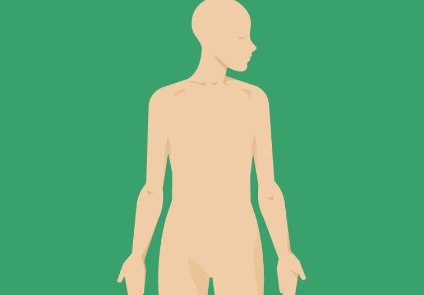 Bulbourethral Gland (Cowper's Gland) Anatomy, Function & Diagram