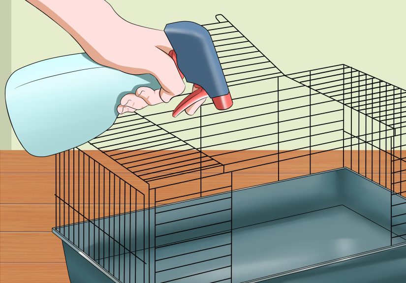 How to Care for a Sneezing Rabbit: 13 Steps
