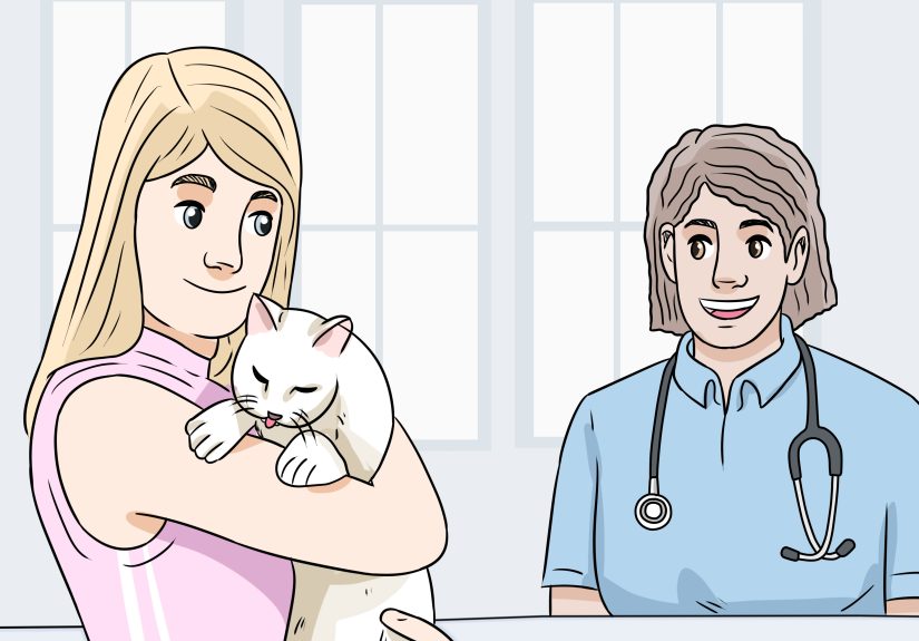 How to Feed a Diabetic Cat: 13 Steps