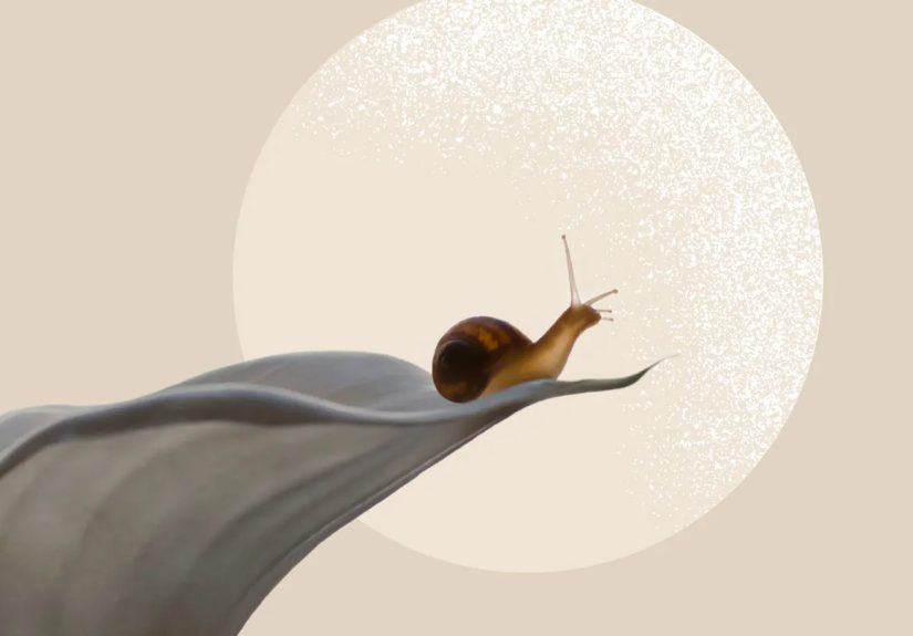 What Is Snail Mucin? Benefits, Side Effects, Usage, More