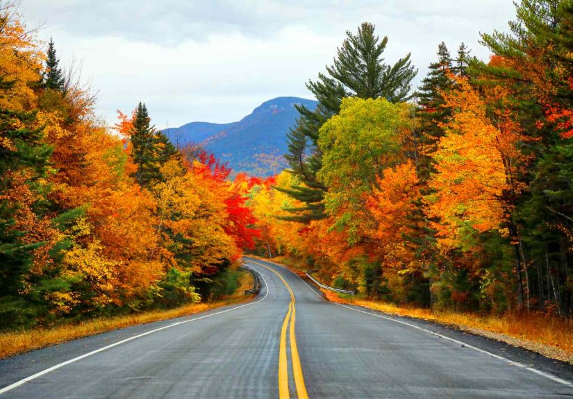 Will Thanksgiving Travel Be a Mess This Year? Here’s What the Old Farmer's Almanac Forecast Says